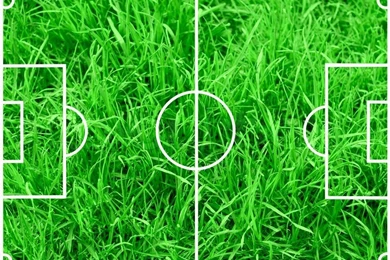 Soccer Field With White Lines On Green Grass Backgrounds
