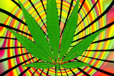 DeviantArt: More Like Pot Leaf 3 By PlaguedMind