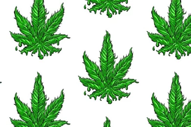 Furry Weed Leaf Whatsapp Wallpapers