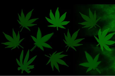 Weed Wallpapers Download   Wallpapers Zone