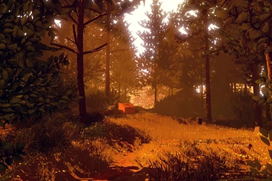 Firewatch, Campo Santo, Video Games, Artwork Wallpapers HD ...