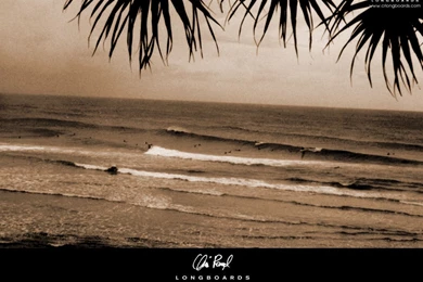 Chris Rempel Longboards