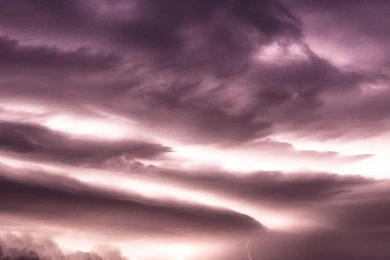 Download Purple iPhone Wallpapers