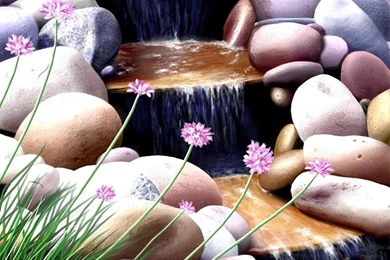 3D Spring Wallpapers Laldybug Photos Of Selecting The Right 3D ...