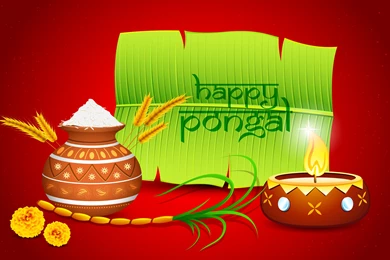 Happy Pongal 2015 3D Images, Screensavers, Wallpapers, Backgrounds ...