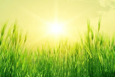 HD Happy Summertime Backgrounds Wallpapers Full Size ...