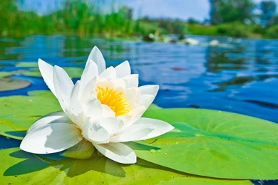 More Beautiful Lovely Sunny Day Wallpapers