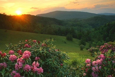 Landscape HD 1920x1080   Nature Wallpapers HD