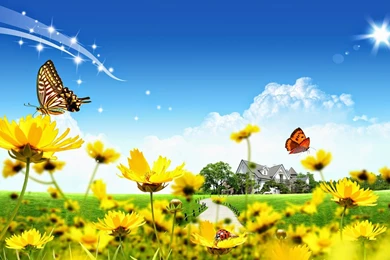 Flower Landscape HD Wallpapers Download For PC & Mobile
