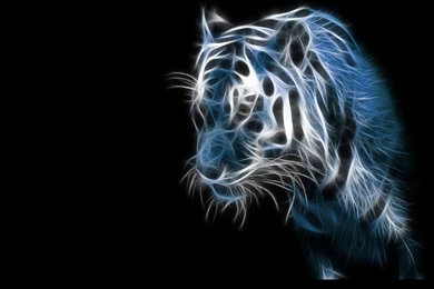 Blue Animals Tigers Fractalius Black Backgrounds
