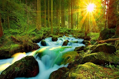 Most Beautiful Nature Wallpapers Wallpapers Zone