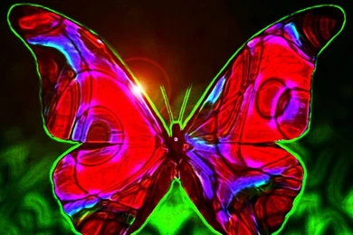 1000+ Images About 3D Butterfly Wallpapers Desktop On Pinterest ...