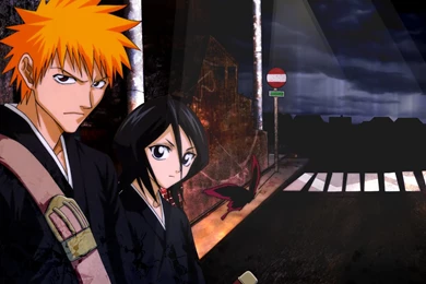 Ichigo And Rukia   Bleach Wallpapers : Desktop And Mobile Wallpapers ...