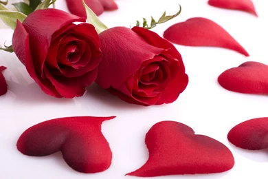 Special Valentine Day Wallpapers HD Picture