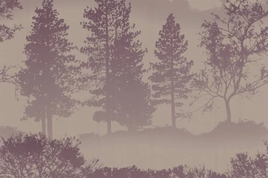 Pink Wallpapers Buy Designer Wallpapers Online From Fashion ...