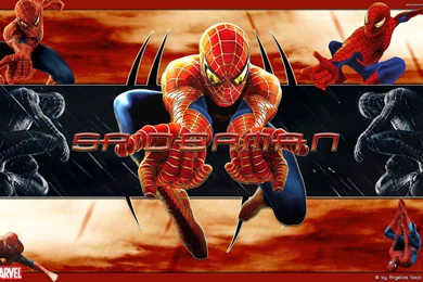 Spiderman Wallpapers By TearOfDragon On DeviantArt