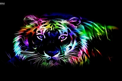 Neon Music Wallpapers WallPaper Sources