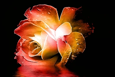 Wallpapers Anime Love Kiss Rabbit Art Bunny Little Girl Free Hd ...