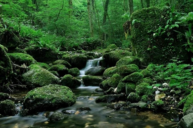 Mountain Stream Wallpapers Wallpapers Sources