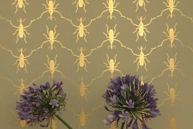 Ten Wallpapers Sources   Mimosa Lane