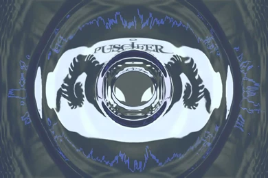 Oceans   Puscifer Live In Vegas  12 10 11   YouTube