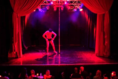 BOYeurism: Fenix Pole Dance To Puscifer Remix   YouTube