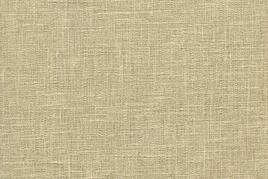 WA1557 ― Eades Discount Wallpapers & Discount Fabric