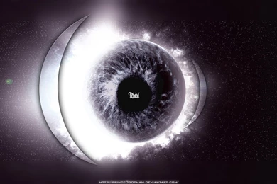 Tool Puscifer A Perfect Circle Maynard James Favourites By ...