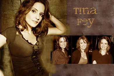 Tina Wallpapers   Tina Fey Wallpapers (448102)   Fanpop