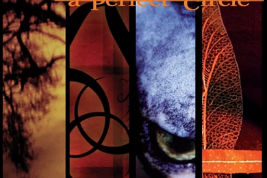 APC Wallpapers By FeniceNera On DeviantArt