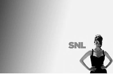 Tina Fey Wallpapers By Chasewolfman On DeviantArt