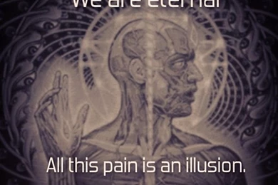 MJK♡ Tool, Apc, Puscifer On Pinterest