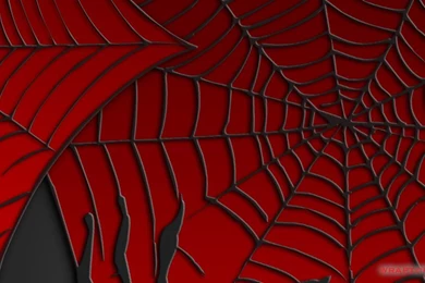 Pics, Facts, Funny Stuff About Animals & Nature Red Spider Web ...