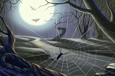 Pics, Facts, Funny Stuff About Animals & Nature Halloween Spider ...