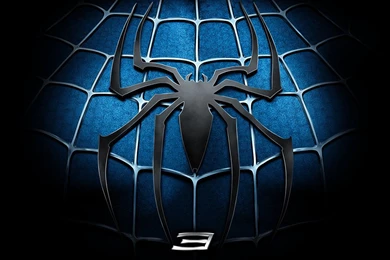 Wallpapers Anime Fantasy Hd A Large Spider Web On The Pictures D ...