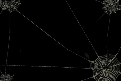 Blue Aurora Borealis   Wallpaper.