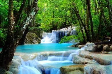 Waterfall Forest HD Wallpapers   Android Apps On Google Play
