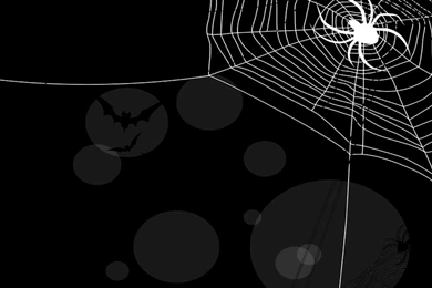 Halloween Backgrounds Spider, Spider Web And Bats Widescreen ...