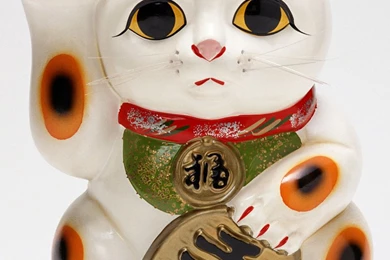 Lucky Cat 16521   Other   Others