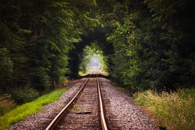 Railroad On The Forest HD Wallpapers