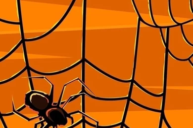 Spider Web iPhone 5 Wallpapers (640x1136)