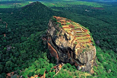 Sri Lanka Historical Forest HD Wallpapers » FullHDWpp   Full HD ...