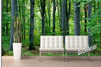 Woodland Forest Peel And Stick Wall Mural