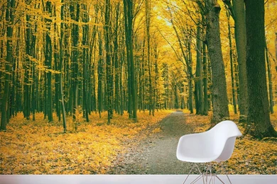 Golden Fall Forest Wall Mural