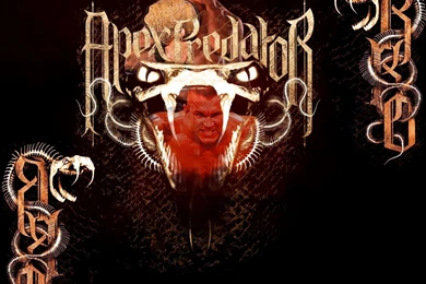 Randy Orton Viper Wallpapers Wallpapers Cave