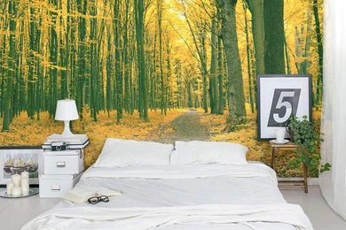 Golden Fall Forest Wall Mural