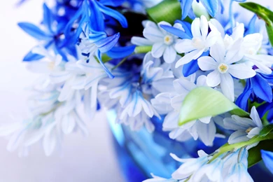 The Color Of The Sky >> HD Wallpaper, Get It Now!