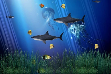 Live Moving Wallpapers For Windows 7 – 1482×836 High Definition ...