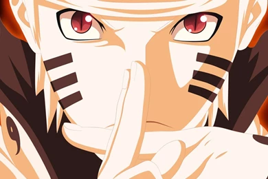 Naruto Wallpapers Kurama 4   High Definition : Widescreen Wallpapers