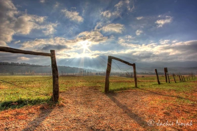 Beach Sky Sunset Sun Trees Lake Clouds Colour Color Sea Landscape ...